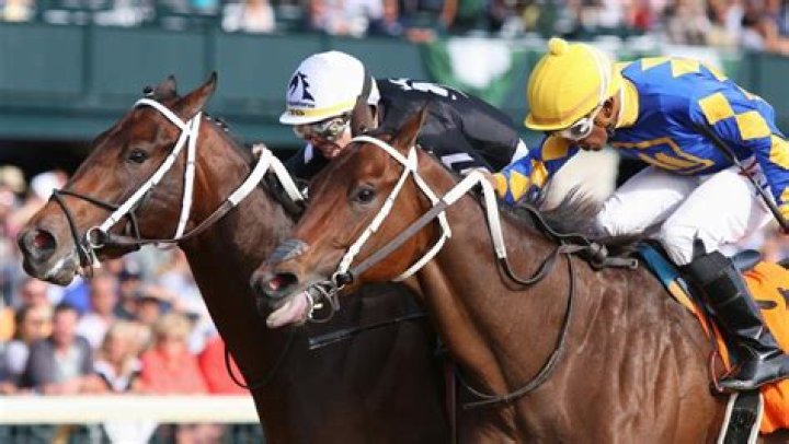 Can you buy a share in a horse?