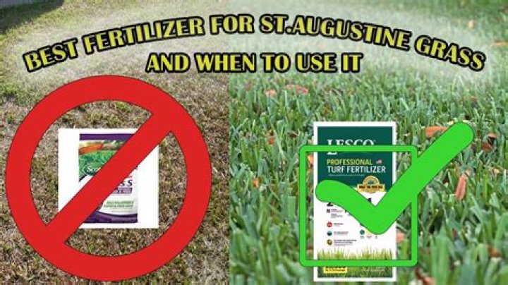 Can you over fertilize St Augustine grass?