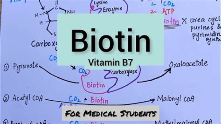 Does biotin come from animals?