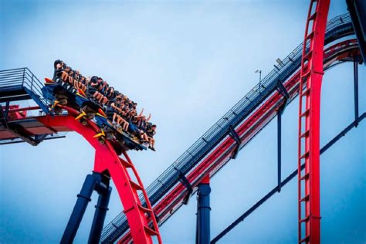 How many roller coasters are at Busch Gardens Tampa?