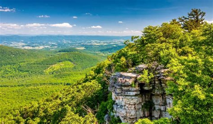 How much of Virginia is forest?