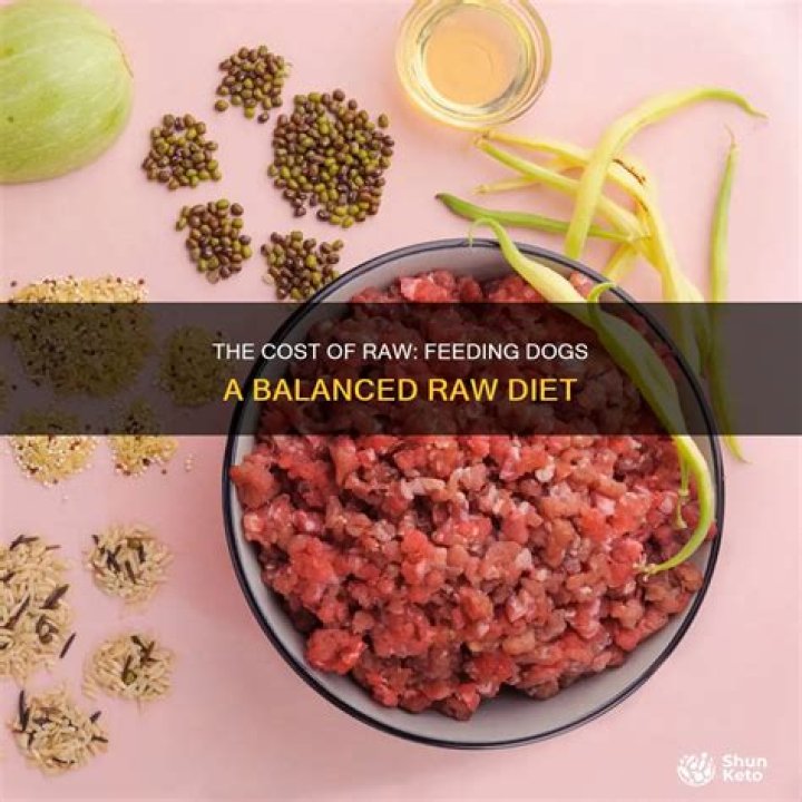 Is raw feeding dogs more expensive?