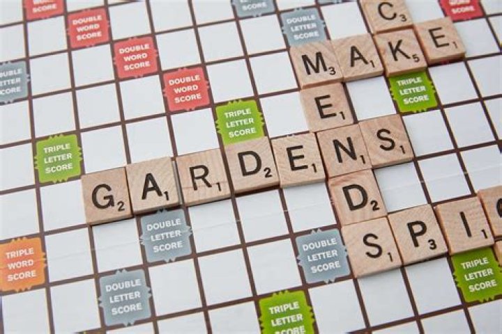 Is Scran a Scrabble word?