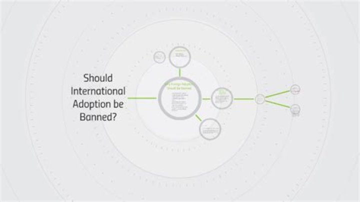 Should international adoption be allowed?