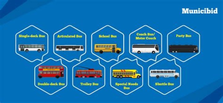 What are buses called in Mexico?