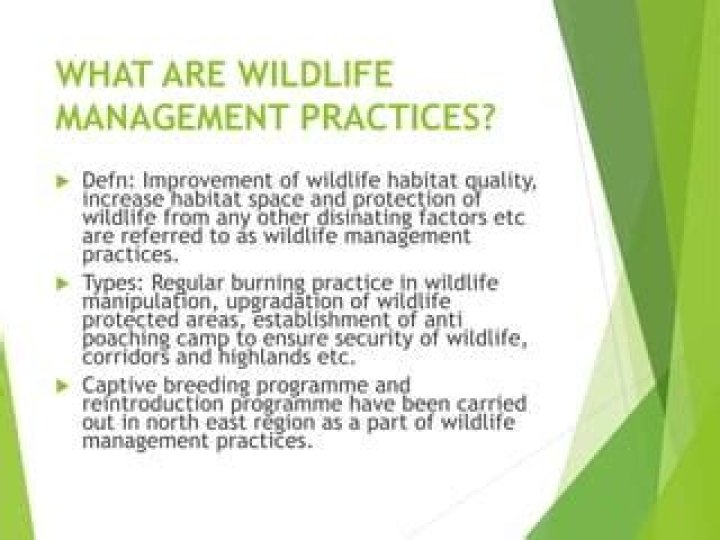 What are wildlife management practices?