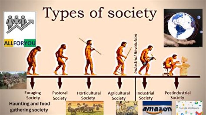 What do you understand by society explain the stages of societal evolution?