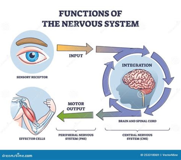 What is the main function of UGC?