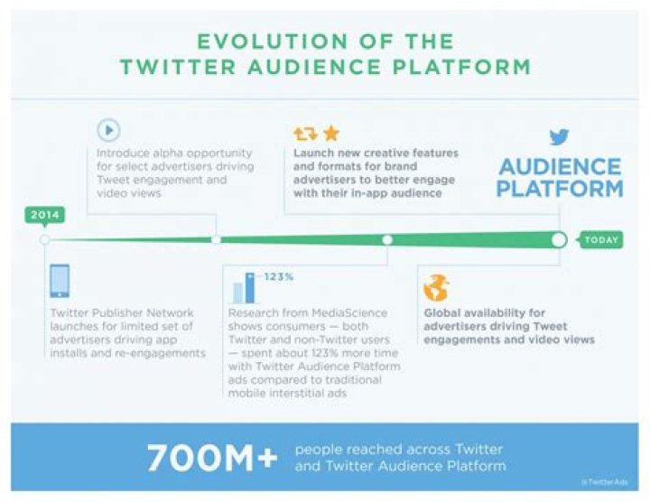 What is the Twitter audience platform?