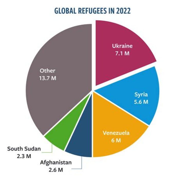 Which countries have refugee camps?