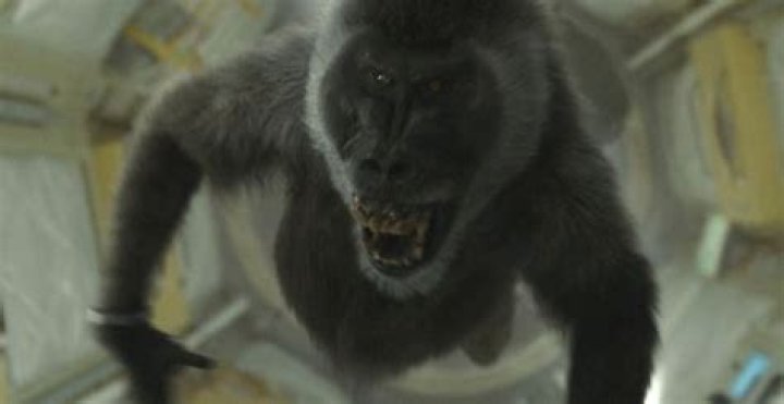 Why was there a baboon in Ad Astra?