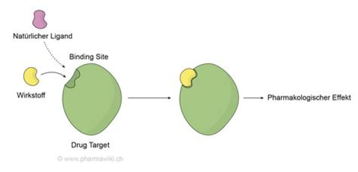 Wie lange dauert es bis ein Antihistaminikum wirkt?